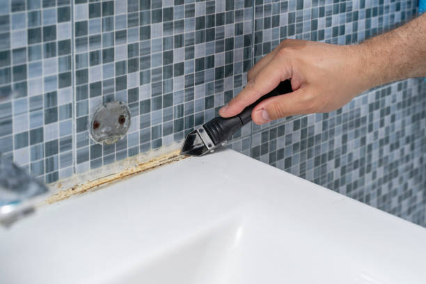Mold Removal Process in Legend Lake, WI