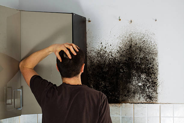 Best Office Mold Removal Services  in Legend Lake, WI